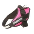 Kép 2/2 - Julius K-9 IDC Powerhám Mini (pink) 7-15kg-ig - 2