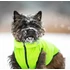 Kép 2/2 - AiryVest kutyaruha kifordítható, XS 30, zöld-fekete - 2