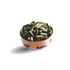 Kép 2/2 - Delicado Verde Complete Menu - Nyúl (400g) - 2