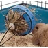 Kép 2/2 - SAVIC Bunny Toy Hay and Snack Feeder - széna és snack etető (kék) nyulak részére (Ø20cm) - 2