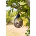 Kép 2/2 - Trixie Fat Ball Feeder - faggyúgolyó tartó (fekete) 1,4ml, 14x29cm, fekete - 2