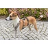 Kép 2/2 - Trixie Stay Panic-adaptor for harnesses, (szökésbiztos) hámhoz csatlakoztatható védelem - fekete, M–L: 46–72 cm/20 mm - 2