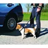Kép 2/2 - Trixie Car Harness - biztonsági öv kutyák részére - S - (30-60cm/20mm) - 2