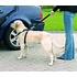 Kép 2/2 - Trixie Car Harness - biztonsági öv kutyák részére - L - (70-90cm/25mm) - 2