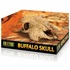 Kép 1/2 - Exo-Terra Buffalo Skull - bölény koponya formájú búvóhely hüllők részére (13x9x24cm)
