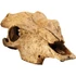 Kép 2/2 - Exo-Terra Buffalo Skull - bölény koponya formájú búvóhely hüllők részére (13x9x24cm) - 2