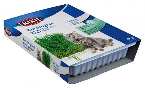 Trixie CatGrass Box - Dobozos macskafű (100g)