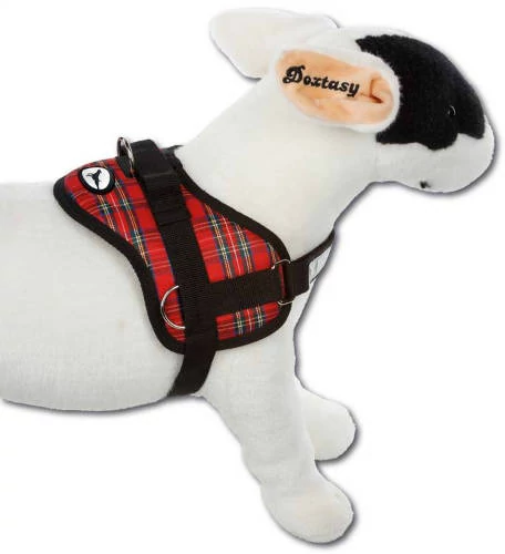 KT. AC. Doxtasy Hám tartan red XS (46-63cm)