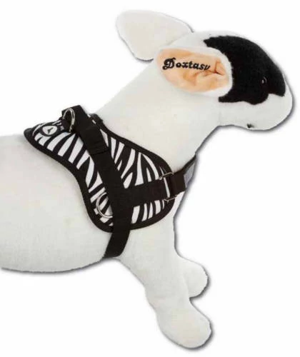 KT. AC. Doxtasy Hám zebra XXS (39-54cm)