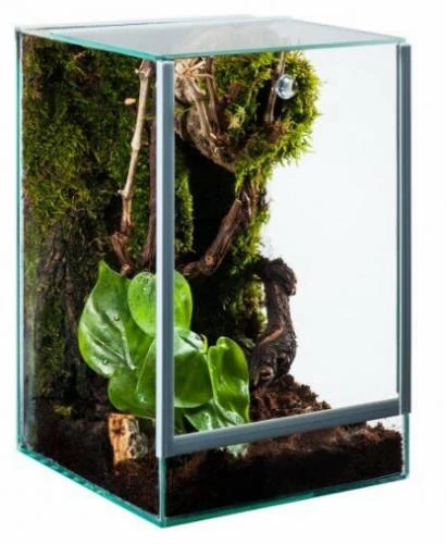 Diversa pók terrárium 20x15x25