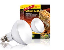 Exo-terra Solar Glo - izzó (80W) terráriumi állatok részére