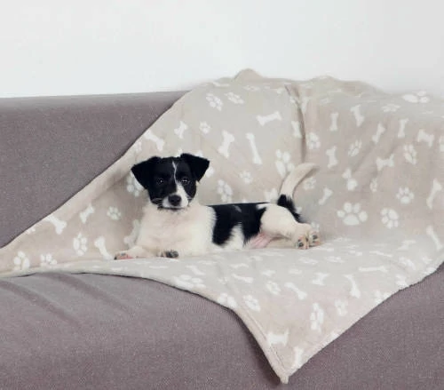 Trixie Kenny Blanket - takaró (bézs,mintás) macskák részére (100x75cm)