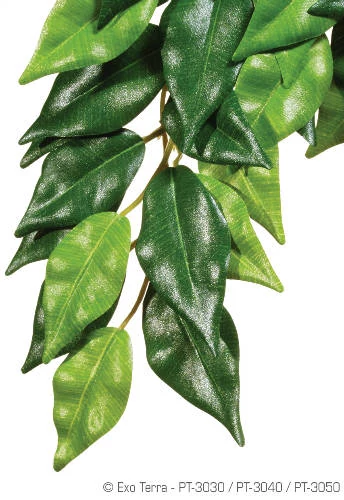 Exo-Terra Silk Plant Ficus Small - Terráriumi selyem műnövény dekoráció (Ficus) cca.32cm