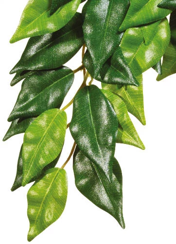 Exo-Terra Silk Plant Ficus Large - Terráriumi selyem műnövény dekoráció (Fikusz) cca.60cm