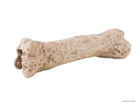 Exo-Terra Dinosaur Bone - Dinoszaurusz csont - bújó hüllők részére (19cm)