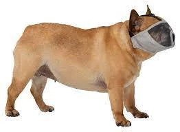Trixe Muzzle for short-nosed breeds - szájkosár (szürke) rövid orrú kutyák részére (S) 23cm