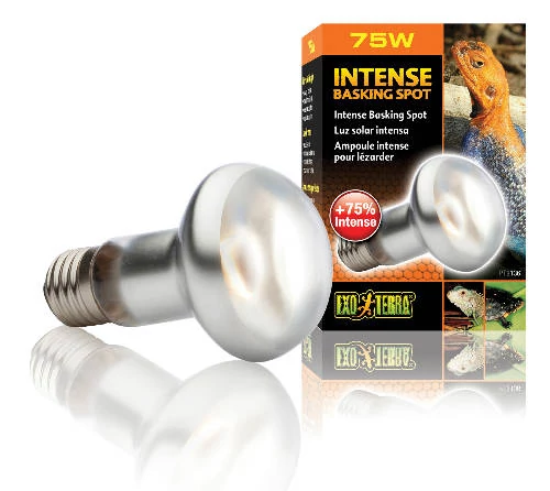 Hagen Exo Terra Instense Basking Spot izzó sütkérező területekhez - 150 W