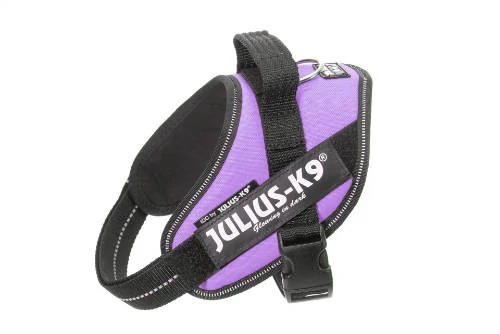 Julius K-9 IDC Powerhám Mini-Mini méret (lila) 4-7 kg-ig