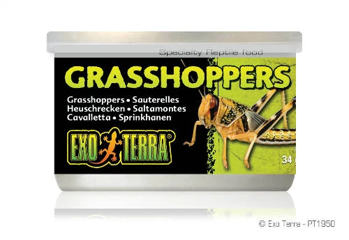 Exo-Terra Grasshoppers - hüllőeledel (szöcske) 34g