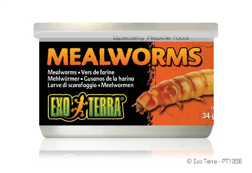 Exo-Terra Exo Terra Mealworms - eledel (Lisztkukac) terráriumi állatok részére (34g)