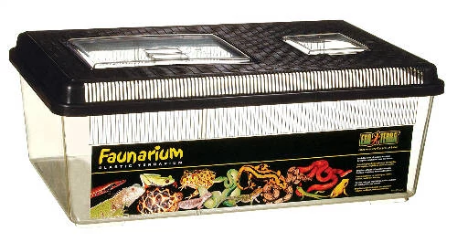 Exo-Terra Faunarium Large - Ideiglenes (téglalap) terráriumdoboz - 46x30x17cm