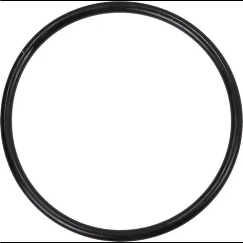 Hagen Fluval FX5 Motor Sealing Ring - alkatrész (motor tömítőgyűrű) külső szűrőkhöz