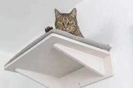 Trixie Platform for Wall Mounting - falraszerelhető párnázott felület (fehér) 50x17,5x36,5cm