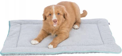 KT25.Trixie junior lying mat - fekhely (világosszürke/menta) kölyök kutyák részére (70x50cm)
