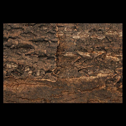 Repti Planet Background cork natural - parafa háttér terráriumokba (43,5x56x2cm)