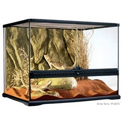 Exo-Terra Medium Wide Terrarium - Dekoratív kivitelű üvegterrárium (60x45x45cm)