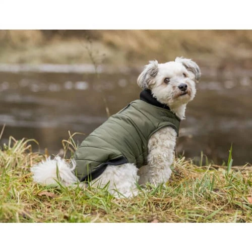 KT25.Trixie Arlay Dog Coat - kabát (sötétzöld) kutyák részére (XXS) 24cm