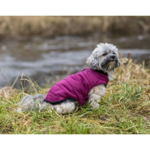 KT25.Trixie Arlay Dog Coat - kabát (bordó/berry) kutyák részére (S) 40cm