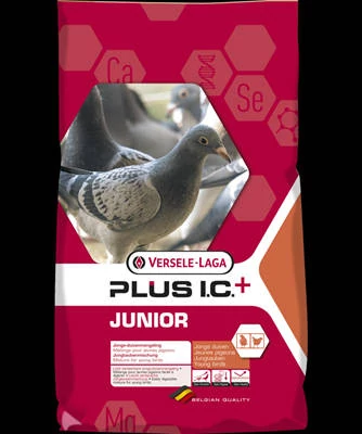 PR. Plus IC. Junior  - Komplett keverék fiatal galambok részére (20kg)