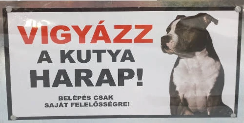 Kutyatábla - műanyag (amstaff natúr füllel) 9x13cm
