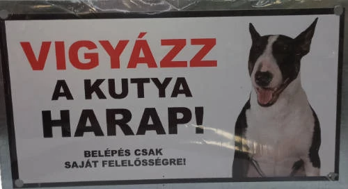 Kutyatábla - műanyag  (bullterrier) 9x13cm