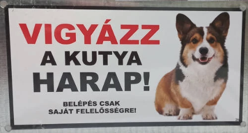 Kutyatábla -fém (corgi) 9x13cm