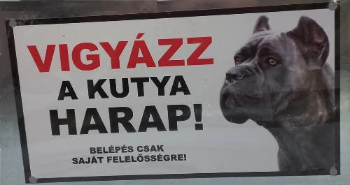Kutyatábla - fém (cane corso fej) 9x13cm