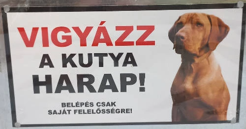 Kutyatábla - műanyag (magyar vizsla) 9x13cm