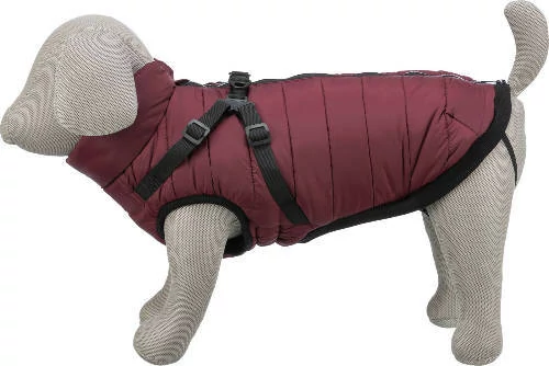 Trixie Pirou téli kabát hámmal, S:33 cm, sangria