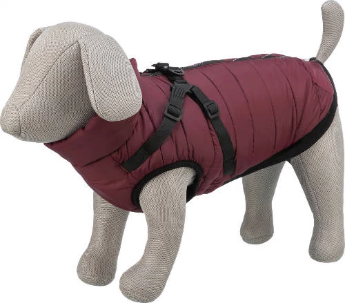 Trixie Pirou téli kabát hámmal, S:36 cm, sangria