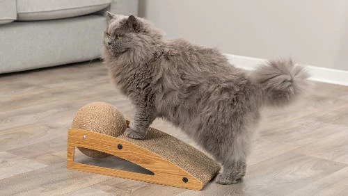 Trixie Scratching ramp with ball - kaparófa (fakerettel, labdával) macskák részére (40x17x20cm)