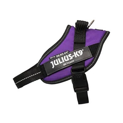 Julius-K9 IDC Power hám Mini (sötét lila) kutyák részére