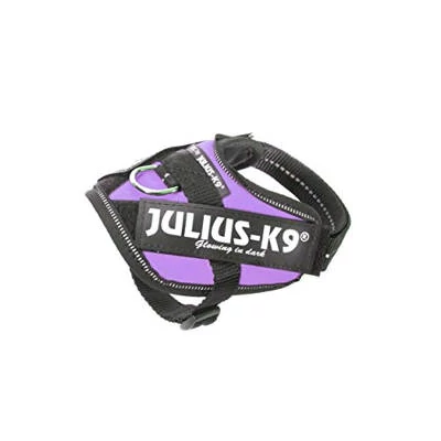 Julius-K9 IDC Power hám Baby 2 (sötét lila) kutyák részére