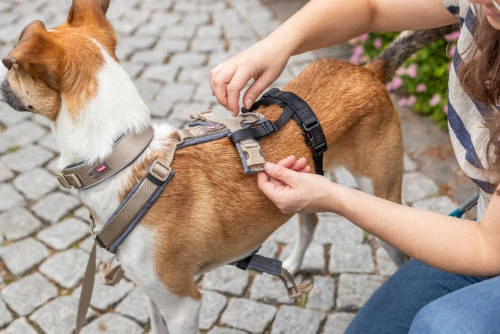 Trixie Stay Panic-adaptor for harnesses, (szökésbiztos) hámhoz csatlakoztatható védelem - fekete, M–L: 46–72 cm/20 mm