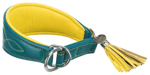 KT25.Trixie Active Comfort nyakörv agaraknak, XS:21-26cm/40mm, sárga/benzin