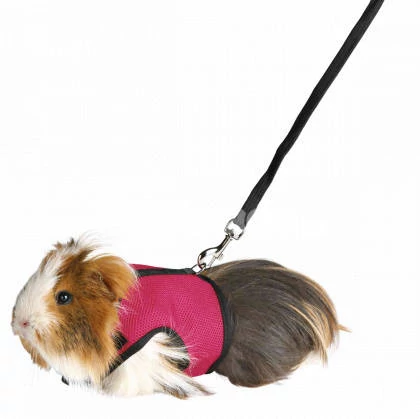 KT25.Trixie Soft - Hám és póráz szett (vegyes színek) tengerimalac részére (ny:13-17cm h:18-25cm)