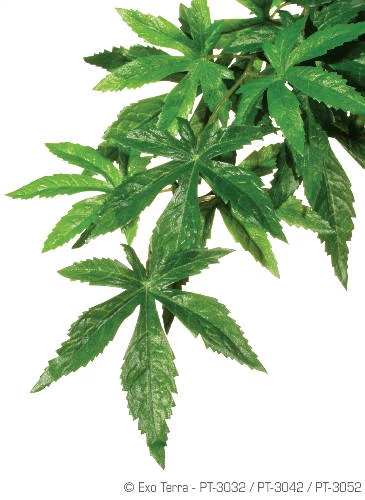 Exo-Terra Silk Plant Aboliton Large - Terráriumi selyem műnövény dekoráció (Abolition) cca.60cm