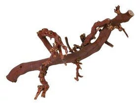 trixie 76170 szölőinda'3', L: 40–60 cm